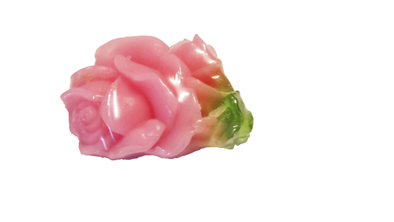 ROSA BULGARIA-2018080112025.png